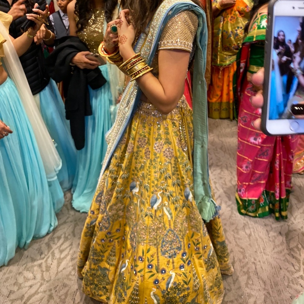 Anita Dongre Pichhwai lehengha blouse and dupattas - Picture 2 of 2